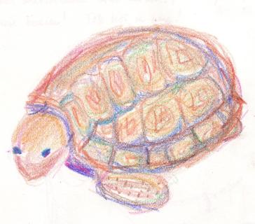 redblue turtle