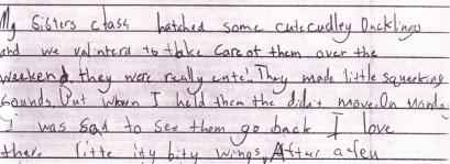 taking care of ducks recrop