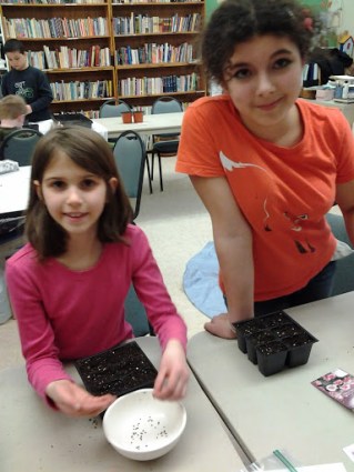violet and anjali planting