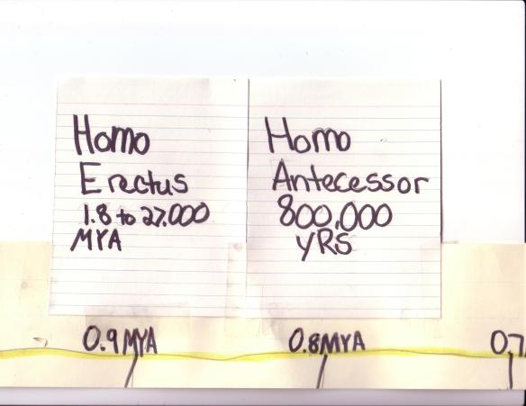 JOM timeclap 1 timeline detail edit