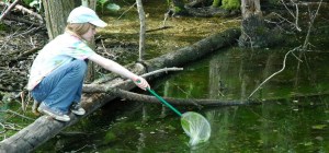 playground reaching with net
