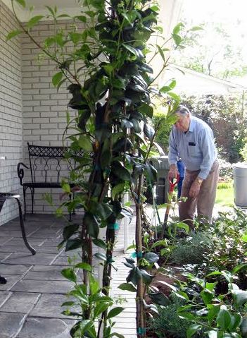 Richard planting cropped
