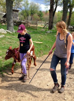 Jane Farm School with calf