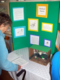 Mimi grandparent reading report