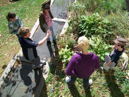 projects side garden