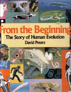 evolution David Peters c
